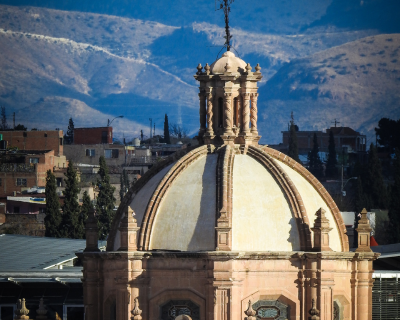 featured image Chihuahua